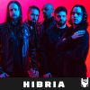 hibria podcast interview