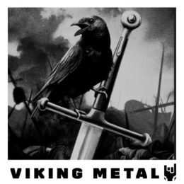 viking metal metaljunkbox