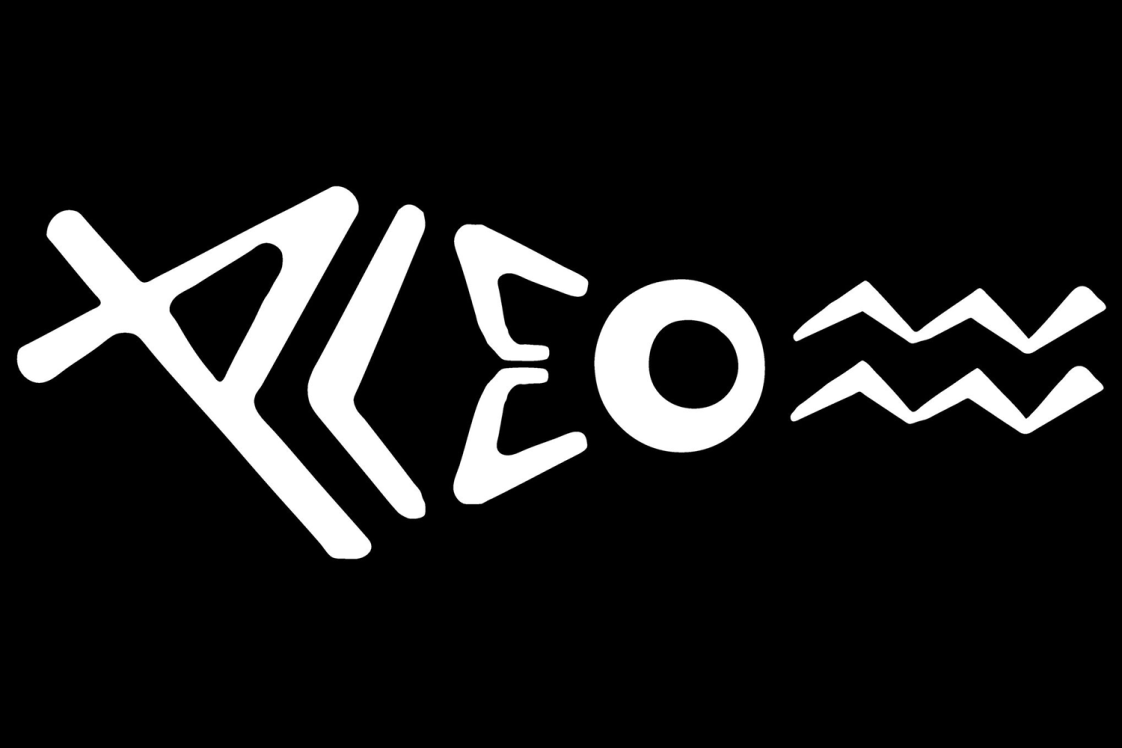 pleo logo small 1696078784763